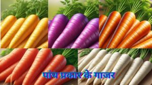 Add-20a-20heading-300x169 गाजर खाने के 8 जबरदस्त फायदे , जो रोशनी को बढ़ाने में बहुत अच्छी भूमिका निभाता है