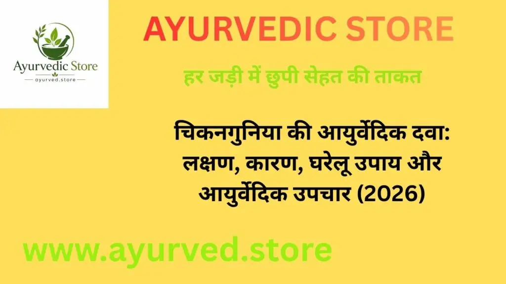 चिकनगुनिया की आयुर्वेदिक दवा, गिलोय, हल्दी और आयुर्वेदिक उपचार की जानकारी